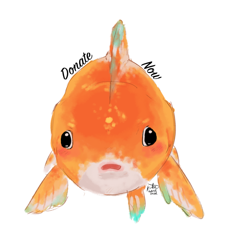 Grant to a Campfire event