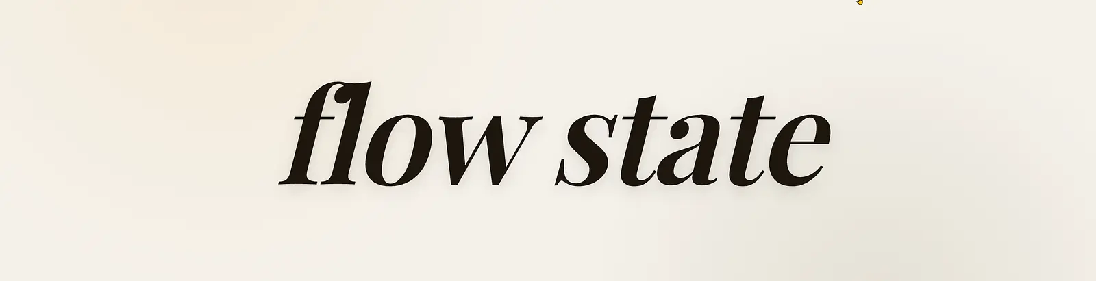 Flow State banner