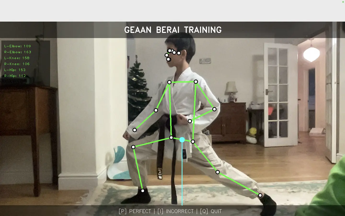 AI KARATE SENSEI banner