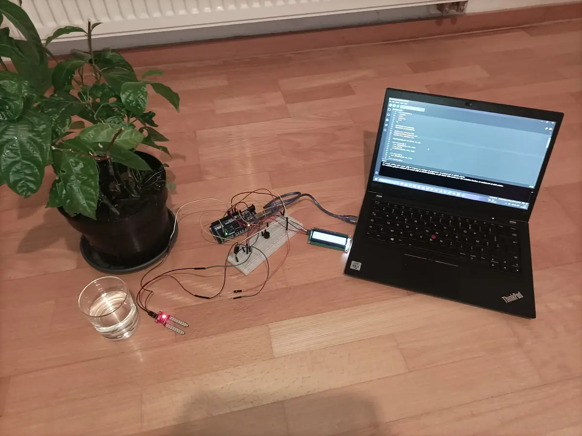 Connected Companion Plant banner