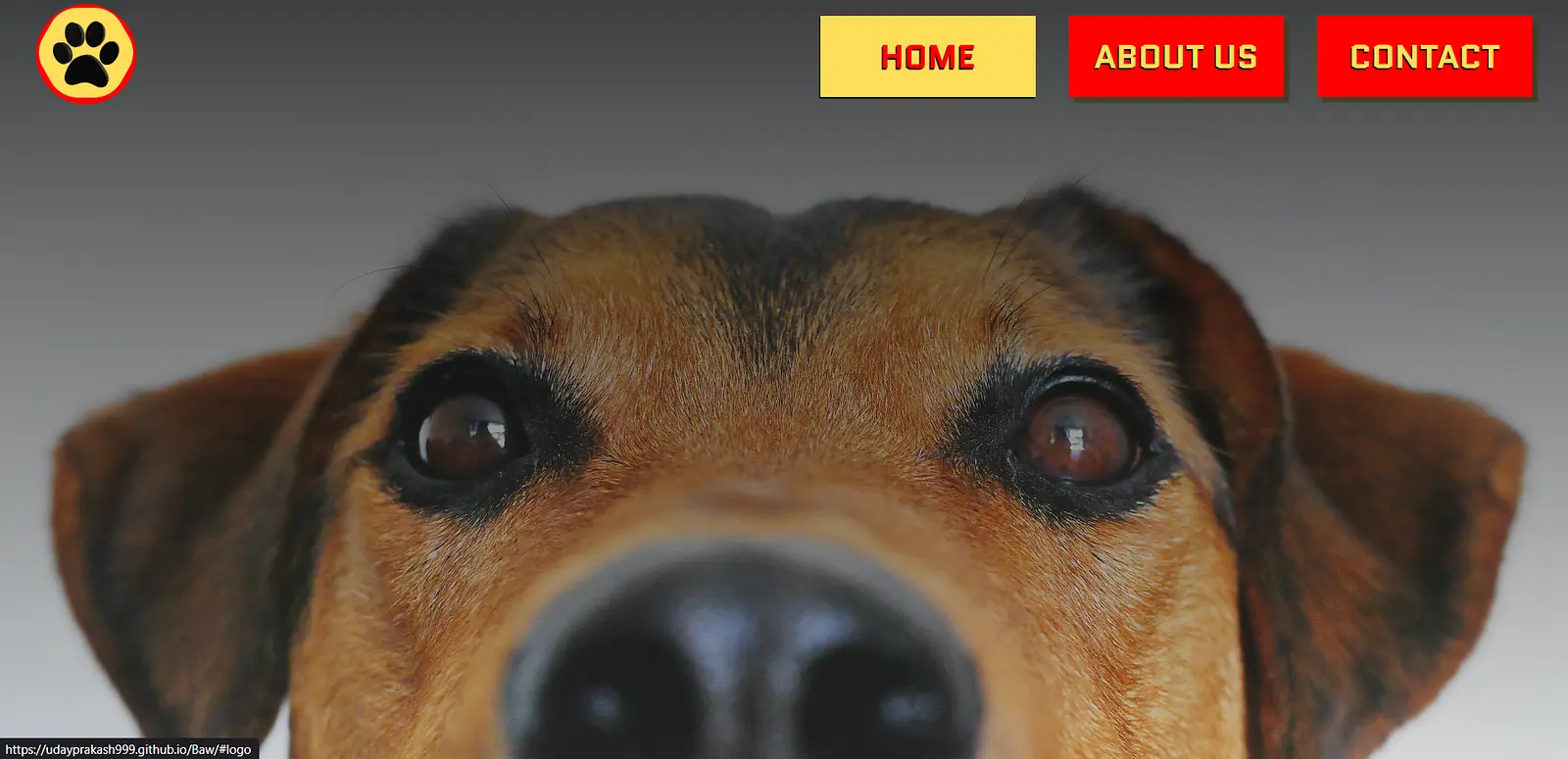 Baw - ThePawSpace banner