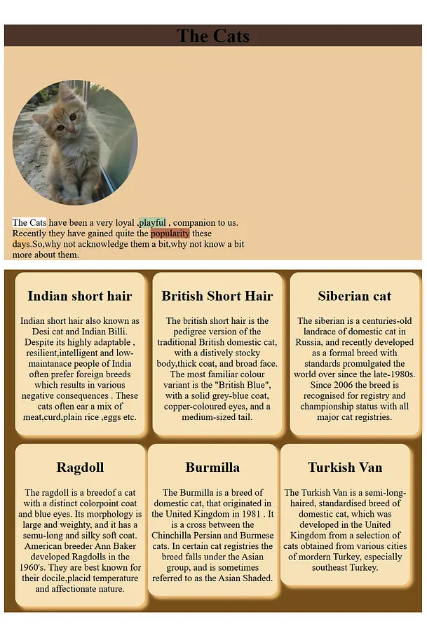 A website about cats banner