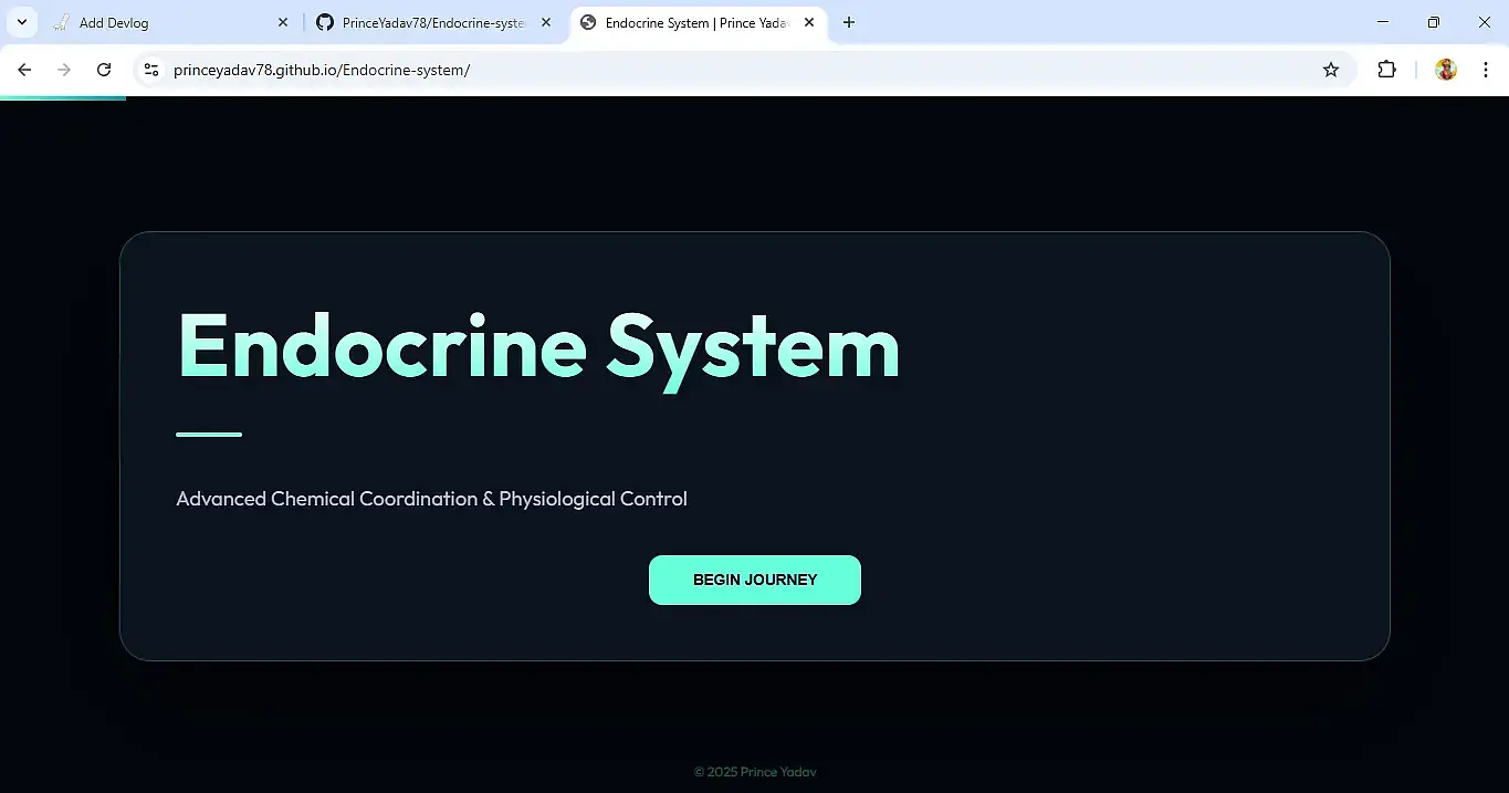 Endocrine system banner